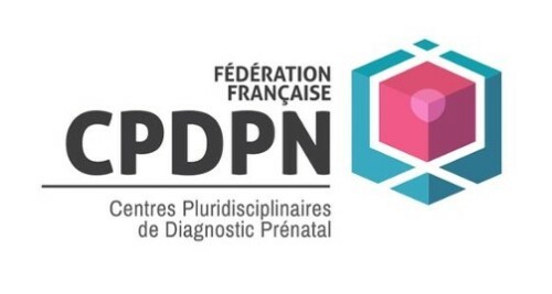 figure 1 cpdpn